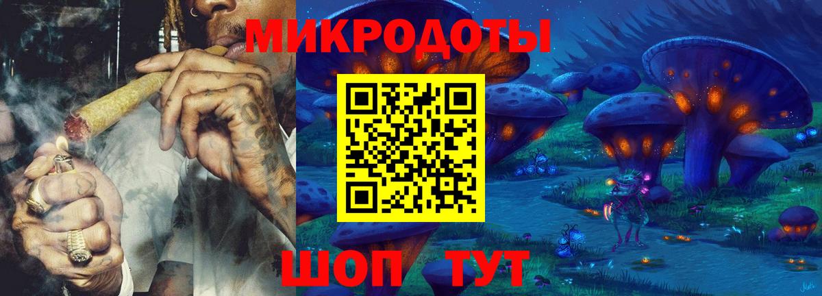Курчалой  где купить наркоту  Вход с VPN  Галлюциногенные грибы Psilocybine cubensis  Псилоцибиновые грибы прущие грибы 
